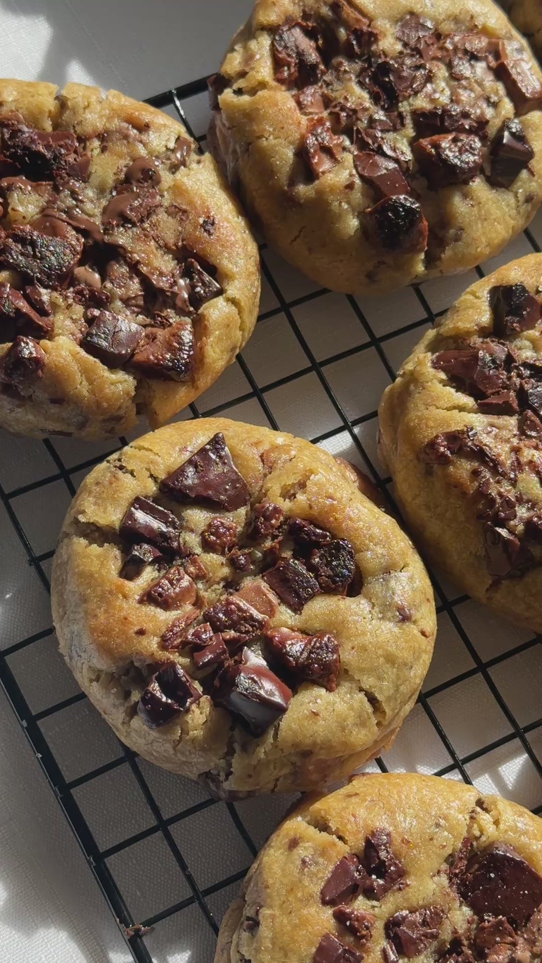 Classic Choc Chip